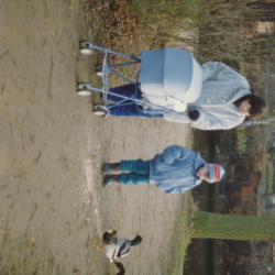 Stefan - Gelbes Buch